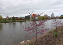 2019-05-20-R66-Millwaukee-IM_R1598-1