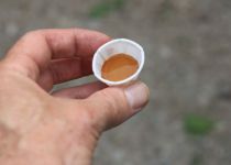 2019-05-23-R66-Bloomington-Funks-Grove-Ahornsirup-IM_R2032-1-1
