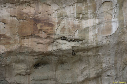 2019-05-30-R66-Ramah-El-Moro-NP-Monument-Fels-IM_R3029-1