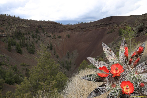2019-05-30-R66-San-Rafael-El-Malpais-NP-Bandera-Krater-Eishöhle-IM_R2963-1_bearbeitet-1
