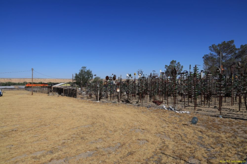 2019-06-05-R66-Bryman-Elmers-Bottle-Tree-Ranch-IM_R3924-1
