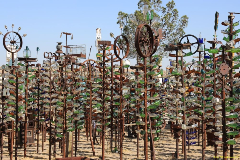 2019-06-05-R66-Bryman-Elmers-Bottle-Tree-Ranch-IM_R3926-1