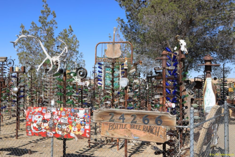 2019-06-05-R66-Bryman-Elmers-Bottle-Tree-Ranch-IM_R3931-1