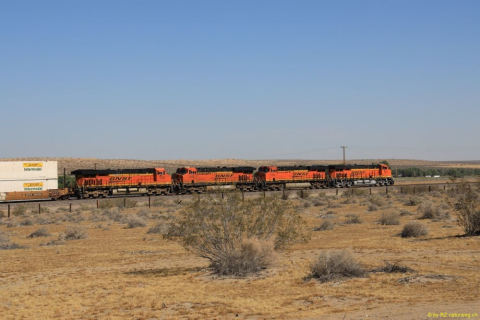 2019-06-05-R66-Bryman-Elmers-Bottle-Tree-Ranch-IM_R3936-1
