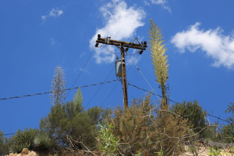 2019-06-05-R66-X-Angeles-NP-Forest-Newcomber-Ranch-Inn-IM_R3989-1