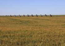 2019-05-28-R66-Amarillo-Cadillac-Ranch-IM_R2664-1-Kopie