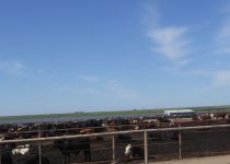 2019-05-28-R66-Santa-Rosa-Wüste-bis-Las-Vegas-P1170736-1