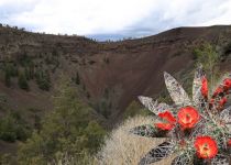 2019-05-30-R66-San-Rafael-El-Malpais-NP-Bandera-Krater-Eishöhle-IM_R2963-1_bearbeitet-1