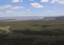 2019-06-01-R66-Grand-Canyon-Heliflug-Colorado-IM_R3313-1