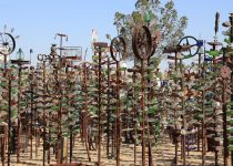 2019-06-05-R66-Bryman-Elmers-Bottle-Tree-Ranch-IM_R3926-1