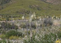 2019-06-05-R66-Lone-Country-Rd-IM_R3960-1