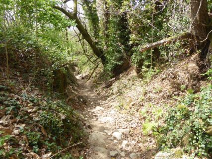 128-2019-F-Via-Podiensis-P1170193