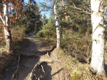 58-2019-F-Via-Podiensis-P1160776