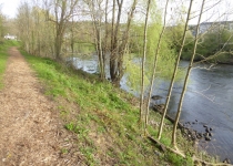 117-2019-F-Via-Podiensis-P1170105