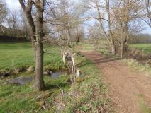 17-2019-F-Via-Podiensis-P1160488