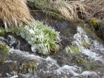 40-2019-F-Via-Podiensis-P1160675