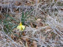 42-2019-F-Via-Podiensis-P1160686