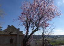 56-2019-F-Via-Podiensis-P1160759