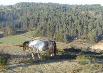 57-2019-F-Via-Podiensis-P1160775