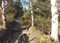58-2019-F-Via-Podiensis-P1160776