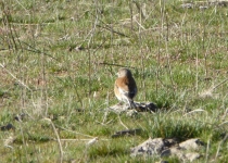 59-2019-F-Via-Podiensis-P1160786