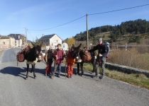 61-2019-F-Via-Podiensis-P1160795