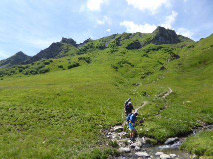 24-2020-07-20-SAC-RS-SenGelbchopf-31-1_bearbeitet-1