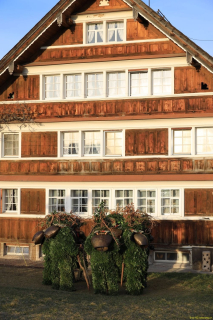 2020-01-13-Waldstatt-alter-Silvester-IM_R0502