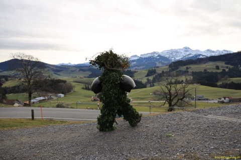 2020-01-13-Waldstatt-alter-Silvester-IM_R0557