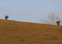 2020-01-13-Waldstatt-alter-Silvester-IM_R0490_bearbeitet-1