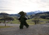 2020-01-13-Waldstatt-alter-Silvester-IM_R0557
