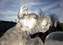 2020-01-12-RS-Schneskulpturen-Sprache-des-Körpers-IM_R0452