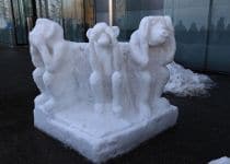 2020-01-12-RS-Schneskulpturen-Sprache-des-Körpers-IM_R0453