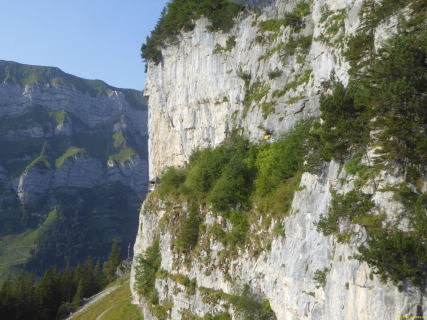 01-2020-08-11-SAC-SchaeflerAltenal-002