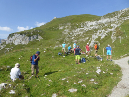 13-2020-08-11-SAC-SchaeflerAltenal-039