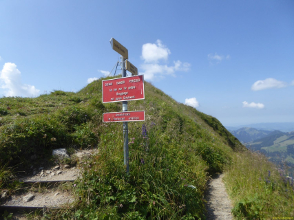 18-2020-08-11-SAC-SchaeflerAltenal-049_bearbeitet-1