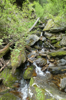P1050289