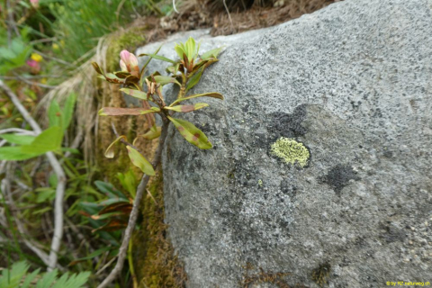 P1050296
