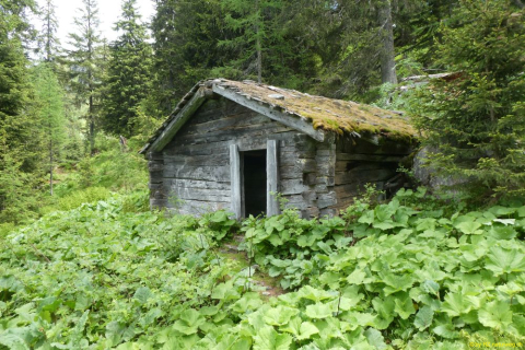 P1050349