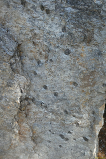 P1050380