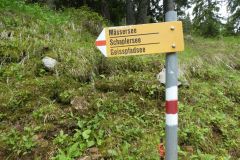P1050291