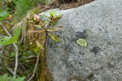 P1050296