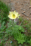 P1050300