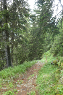 P1050522