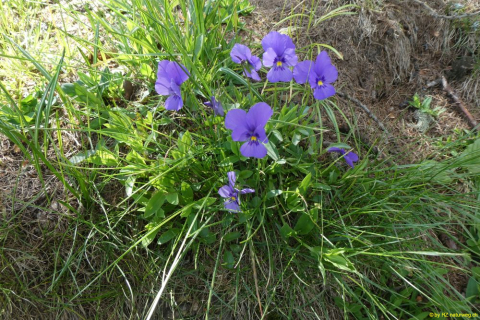 P1050535