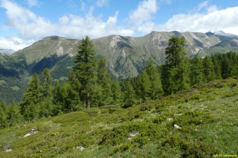 P1050541