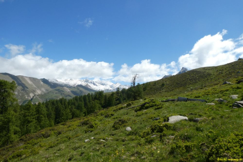 P1050542