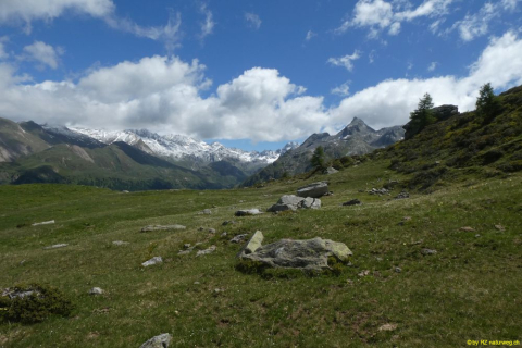 P1050544