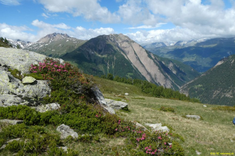 P1050546