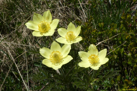 P1050548